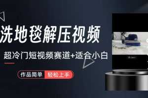 （6938期）超冷门抖音短视频赛道-清洗地毯解压视频-简单无脑怼作品（教程+素材）