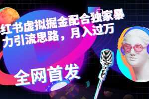 (6661期)小红书虚拟掘金配合独家首发暴力引流思路,月入过万