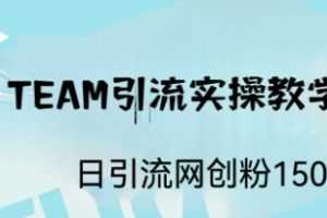 (6578期)ST TEAM引流实操课,日引流网创粉100+