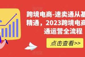 （6208期）速卖通从0基础到精通，2023跨境电商-速卖通运营实战全流程