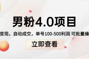 （4137期）道哥说创业男粉1+2+3+4.0项目：私域变现 自动成交 单号100-500利润 可批量