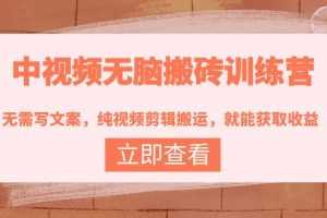 (3878期)中视频无脑搬砖训练营:无需写文案,纯视频剪辑搬运,就能获取收益!