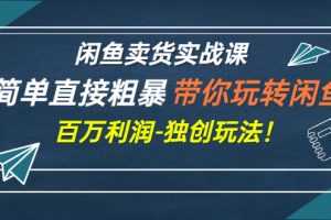 （2782期）闲鱼卖货实战课，简单直接粗暴，带你玩转闲鱼-百万利润-独创玩法！