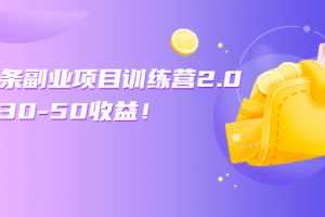 （2549期）微头条副业项目训练营2.0：单号30-50收益！