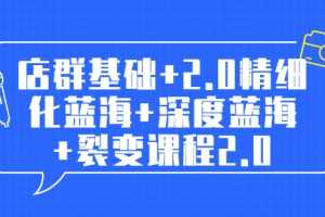 （1808期）孤狼电商店群全套教程：店群基础+2.0精细化蓝海+深度蓝海+裂变课程2.0