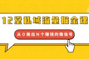 （1659期）12堂私域流量掘金课：打通私域４大关卡，从０做出Ｎ个赚钱的微信号