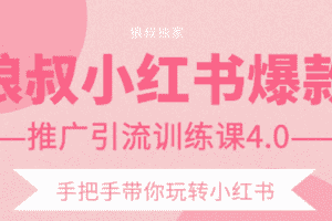 （1407期）小红书爆款推广引流训练课4.0，手把手带你玩转小红书（全套课程）