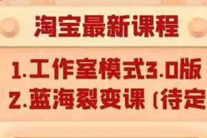 （1046期）淘宝无货源店群项目最新教程，轻松月入过万元（附全套软件）