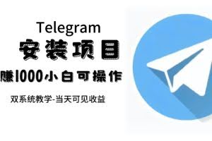 （7455期）帮别人安装“纸飞机“，一单赚10—30元不等：附：免费节点