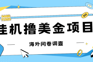 （7196期）最新挂机撸美金礼品卡项目，可批量操作，单机器200+【入坑思路+详细教程】
