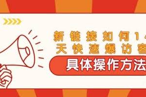 齐论·进阶战术课：拼多多新链接如何14天快速爆访客：具体操作方法（视频教程）