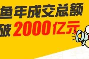 龟课·闲鱼无货源电商课程第19期：操作好一天出几单，赚个几百块