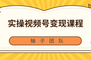 柚子团队内部课程：实操视频号变现课程，助你2021抓住赚钱风口【视频课程】
