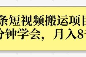 操作性非常强的头条号短视频搬运项目,3分钟学会,轻松月入8000+