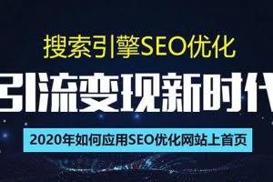 SEO搜索引擎优化总监实战VIP课堂【透析2020最新案例】快速实现年新30w(第9期)