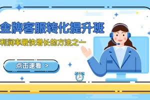 (8233期)金牌客服-转化提升班,利润率最快增长的方法之一(9节课)