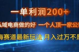 一单利润200私域电商做的好，一个人顶一家公司蓝海赛道最新玩法【揭秘】