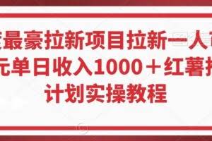 年度最豪拉新项目拉新一人可达40元单日收入1000＋红薯推广计划实操教程【揭秘】