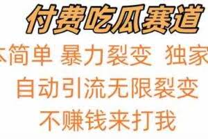 吃瓜付费赛道，暴力无限裂变，0成本，实测日入700+！！！