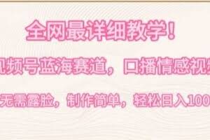 全网最详细教学，视频号蓝海赛道，口播情感视频，无需露脸，制作简单，轻松实现日入1000+【揭秘】