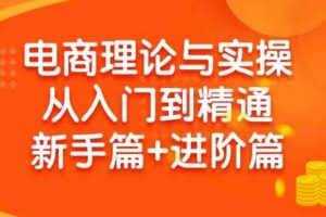 （9576期）电商理论与实操从入门到精通 新手篇+进阶篇