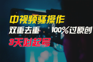 中视频骚操作，双重去重100%过原创，3天比必起号，简单无脑，月入3W+