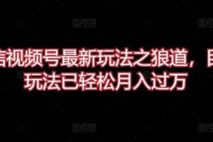 微信视频号最新玩法之狼道，目前玩法已轻松月入过万【揭秘】