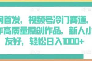 全网首发，视频号冷门赛道，AI制作高质量原创作品，新人小白友好，轻松日入1000+【揭秘】
