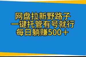 （10468期）网盘拉新野路子，一键托管有号就行，全自动代发视频，每日躺赚500＋