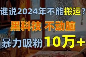(10634期)谁说2024年不能搬运?只动手不动脑,自媒体平台单月暴力涨粉10000+