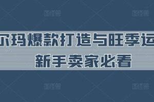 沃尔玛爆款打造与旺季运营，新手卖家必看