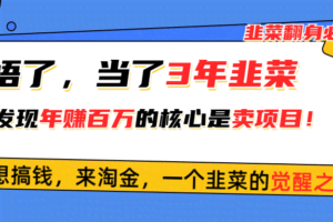 (10759期)悟了,当了3年韭菜,才发现网赚圈年赚100万的核心是卖项目,含泪分享!