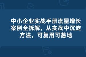 (10889期)中小 企业 实操手册-流量增长案例拆解,从实操中沉淀方法,可复用可落地
