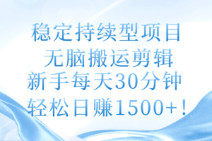 （11094期）稳定持续型项目，无脑搬运剪辑，新手每天30分钟，轻松日赚1500+！