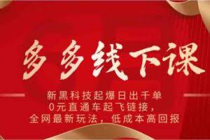 多多线下课：新黑科技起爆日出千单，0元直通车起飞链接，全网最新玩法，低成本高回报