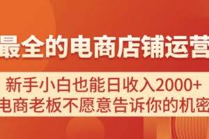 （11266期）电商店铺运营教学，新手小白也能日收入2000+，电商老板不愿意告诉你的机密