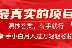 （11362期）最真实的项目，照抄答案，有手就行，新手小白月入过万轻轻松松