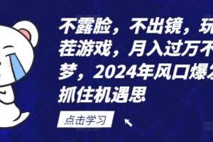 不露脸,不出镜,玩转找茬游戏,月入过万不是梦,2024年风口爆发,抓住机遇【揭秘】