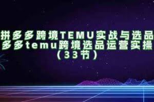 拼多多跨境TEMU实战与选品，多多temu跨境选品运营实操（33节）