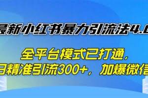(12505期)最新小红书暴力引流法4.0, 全平台模式已打通,日精准引流300+,加爆微…