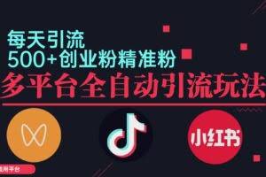 (12765期)小红书抖音视频号截流自热全平台引流打法,全自动引流【日引2000+精准…