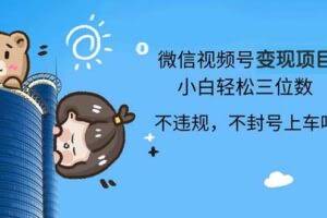 （13115期）2024最新微信视频号变现项目，小白轻松月入四位数