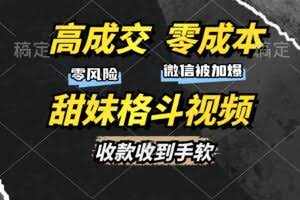 （13384期）高成交零成本，售卖甜妹格斗视频，谁发谁火，加爆微信，收款收到手软