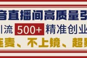 抖音直播间引流创业粉，无需连麦、不用上镜、超暴力，日引流500+高质量精准创业粉