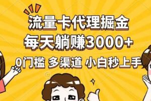 （14348期）流量卡代理掘金，0门槛，每天躺赚3000+，多种推广渠道，新手小白轻松上手