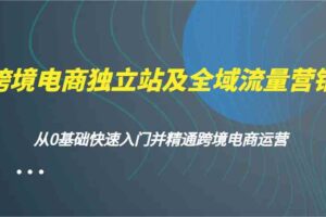 跨境电商独立站及全域流量营销，从0基础快速入门并精通跨境电商运营