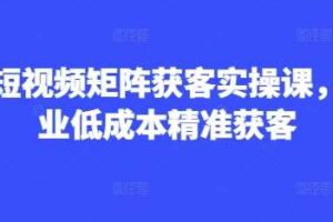 AI短视频矩阵获客实操课，企业低成本精准获客