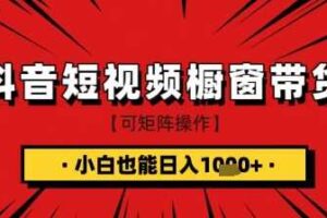 抖音短视频食品橱窗带货，小白轻松上手日入1k+【揭秘】