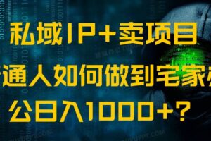 （14400期）私域IP+卖项目，普通人如何做到宅家办公实现日入1000+
