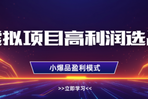 虚拟项目高利润选品方法，单店利润1W+，可多店倍增利润